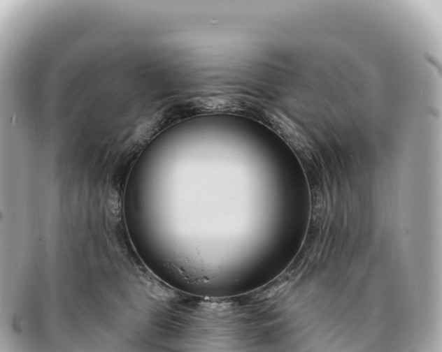 X0000095900469200801251228