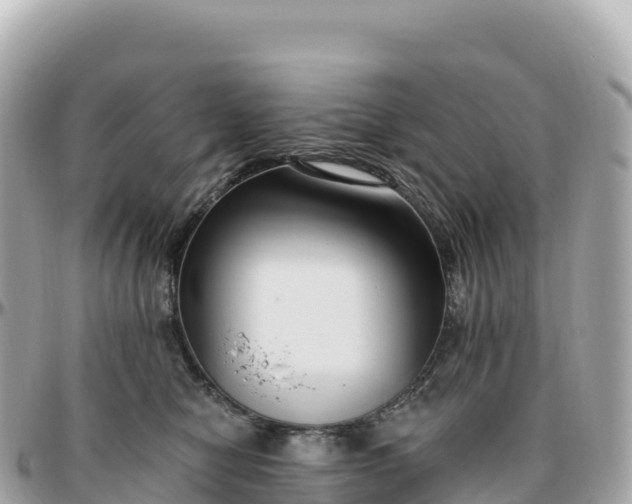 X0000095900470200801251228