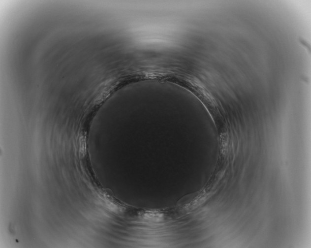 X0000095900471200801251228