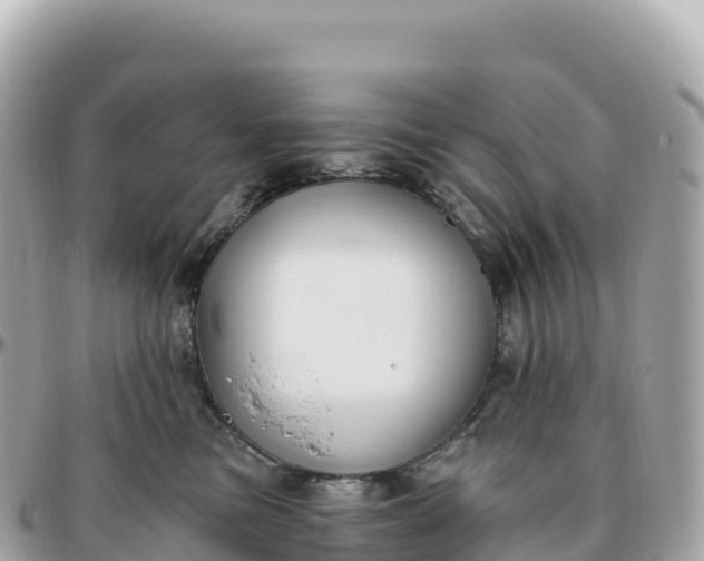 X0000095900473200801251228