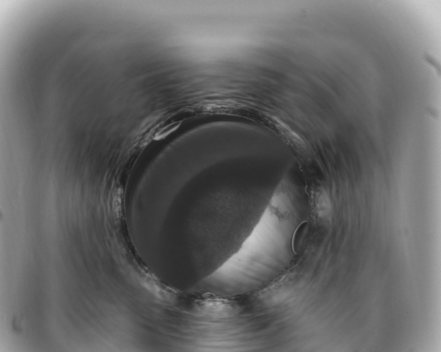 X0000095900475200801251228