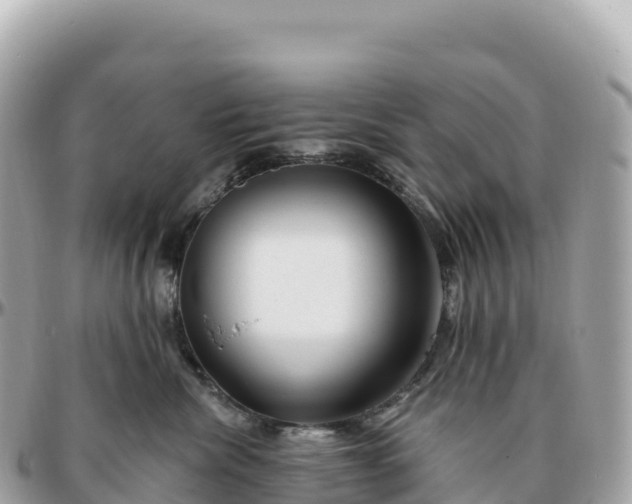 X0000095900476200801251228