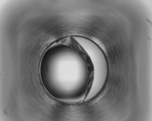 X0000095900481200801251227