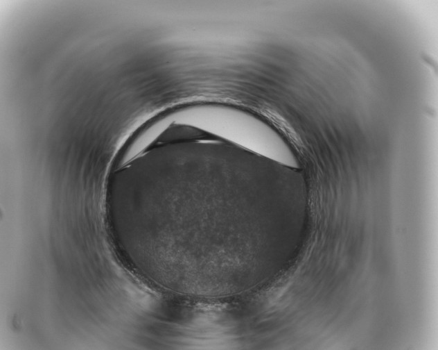 X0000095900484200801251227