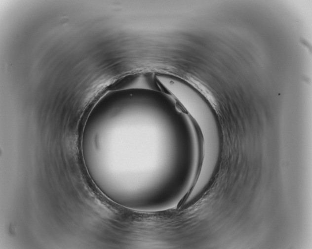 X0000095900485200801251227