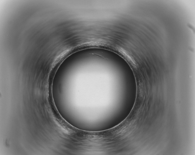 X0000095900486200801251227