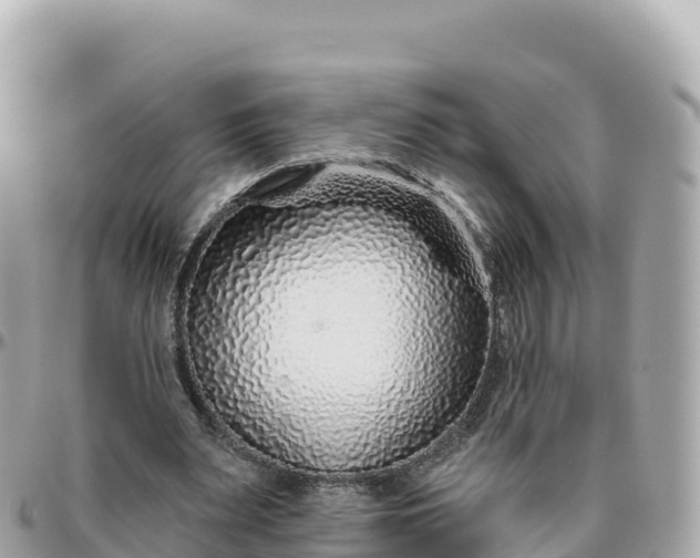 X0000095900487200801251227