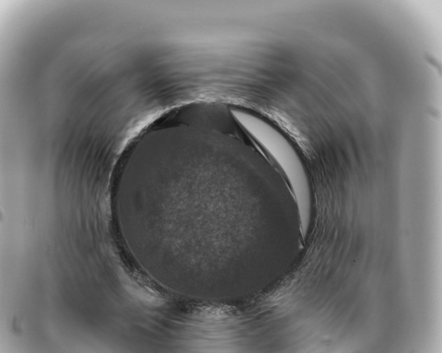 X0000095900488200801251227