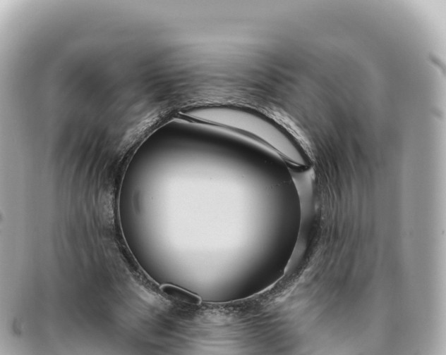 X0000095900489200801251227