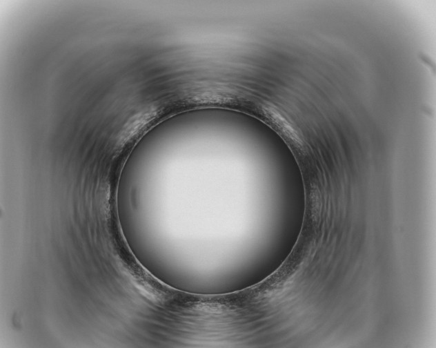 X0000095900490200801251227