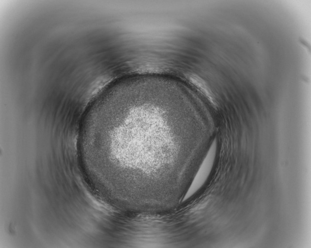 X0000095900491200801251227