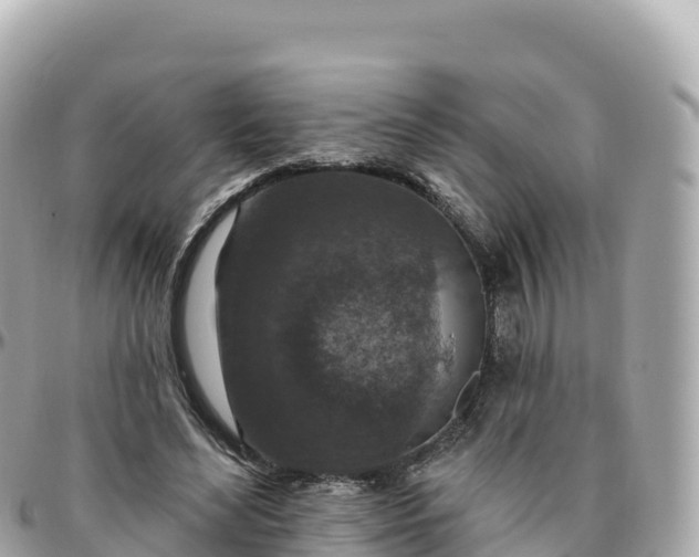 X0000095900492200801251227