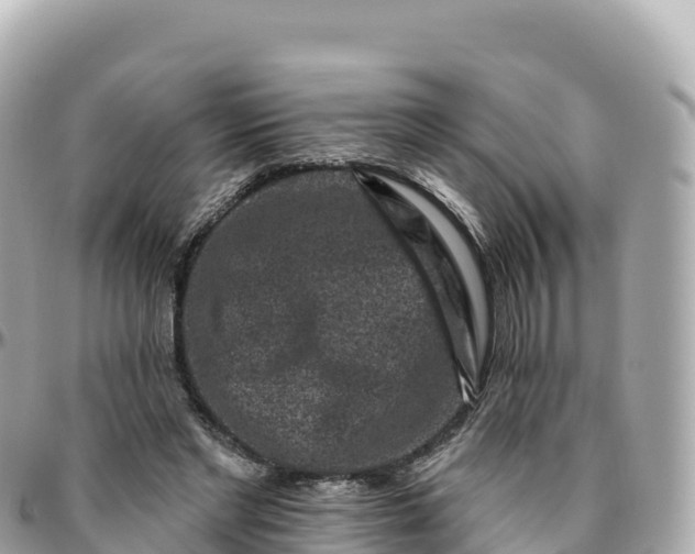 X0000095900493200801251227