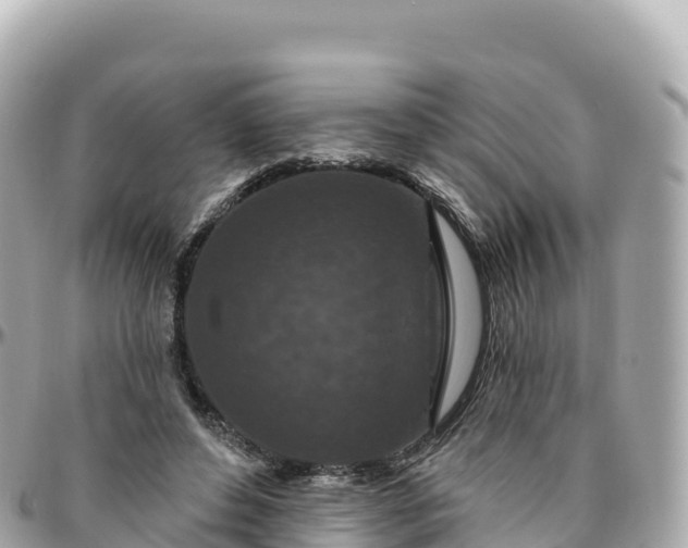 X0000095900496200801251227