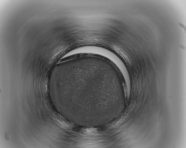 X0000095900501200801251227