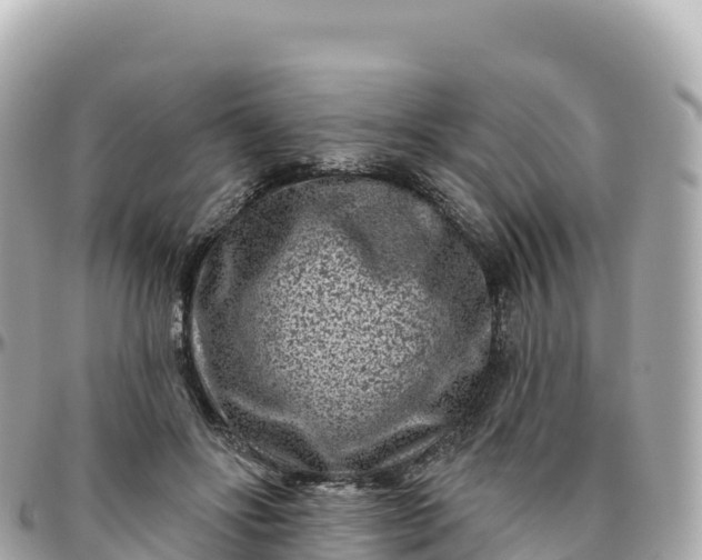 X0000095900502200801251227