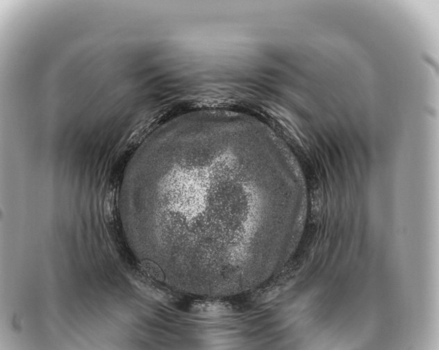 X0000095900503200801251227