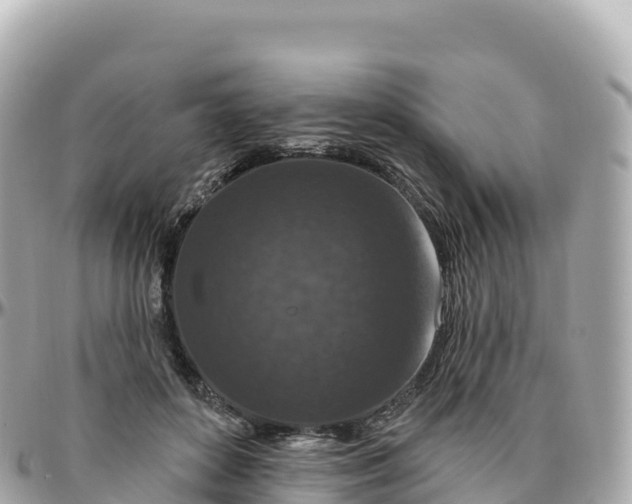 X0000095900504200801251227