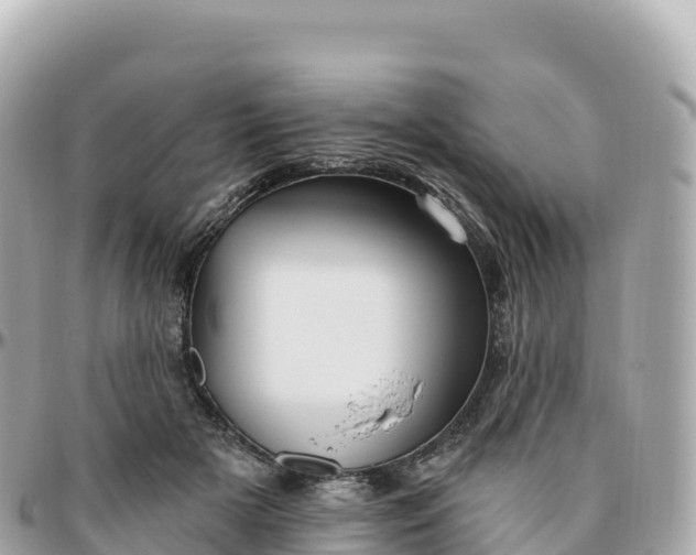 X0000095900505200801251227