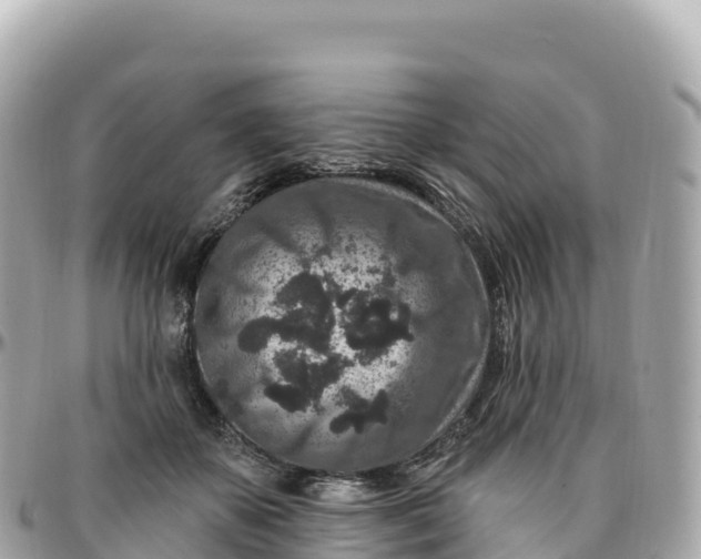 X0000095900507200801251227