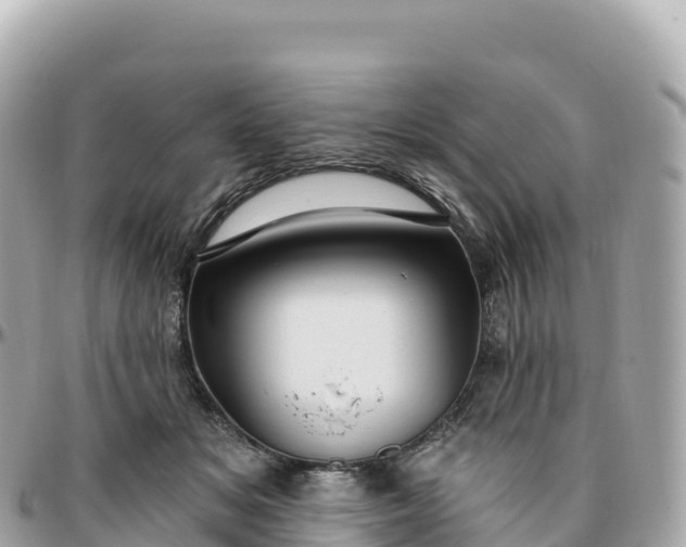 X0000095900509200801251227