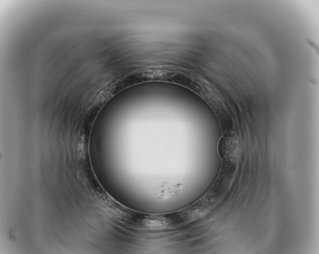 X0000095900510200801251227