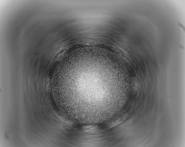 X0000095900511200801251227