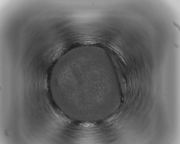 X0000095900512200801251227