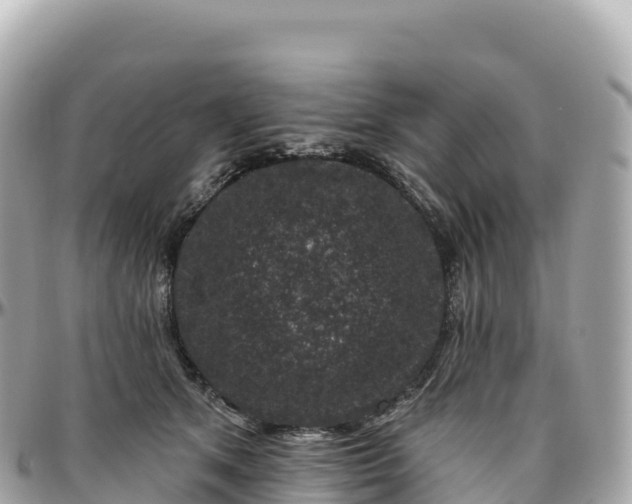 X0000095900513200801251227