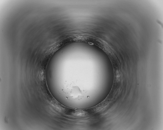 X0000095900514200801251227