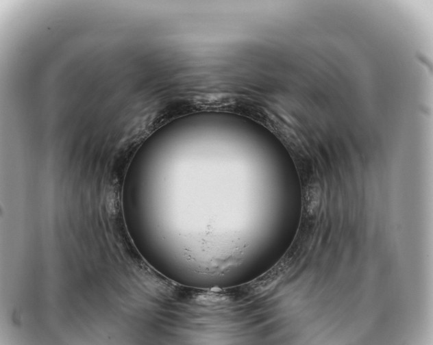 X0000095900515200801251227