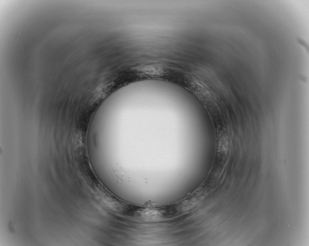 X0000095900518200801251227