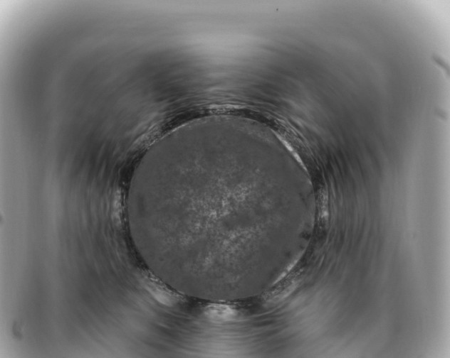 X0000095900519200801251227