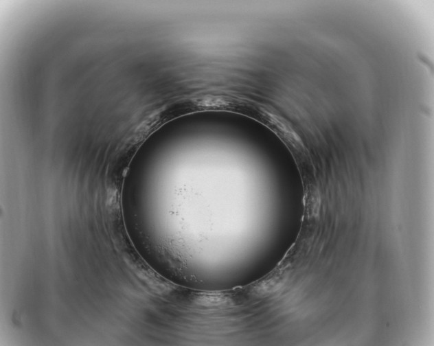 X0000095900521200801251227