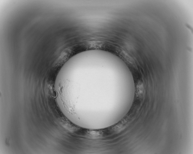 X0000095900522200801251227