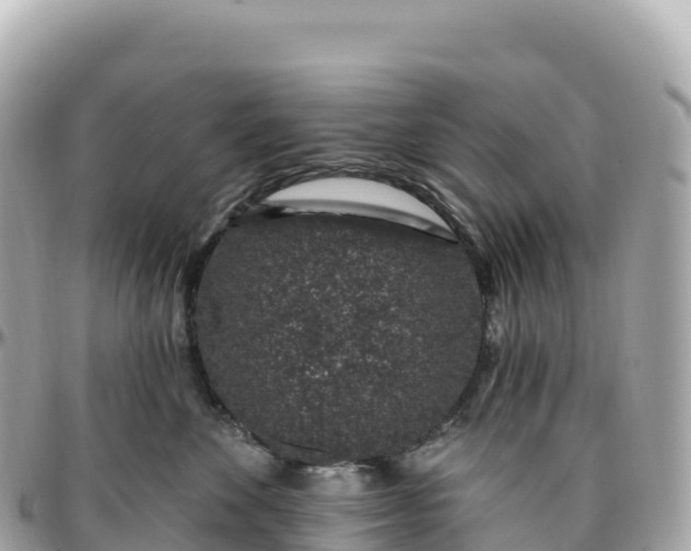 X0000095900524200801251227