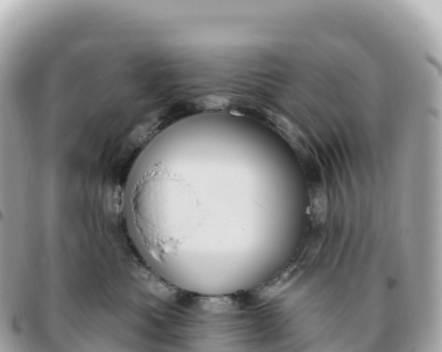 X0000095900525200801251227