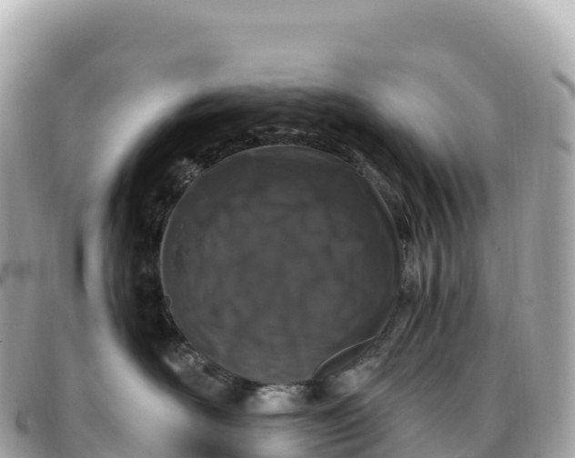 X0000095900526200801251227