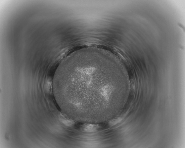 X0000095900527200801251227