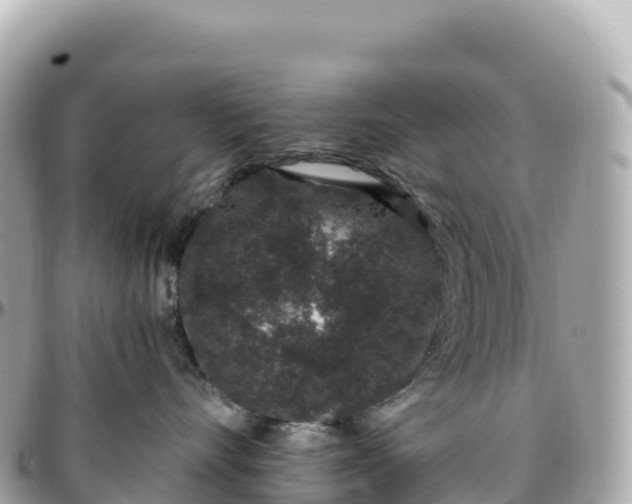 X0000095900528200801251227