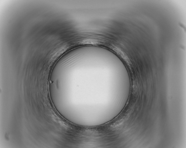 X0000095900529200801251226