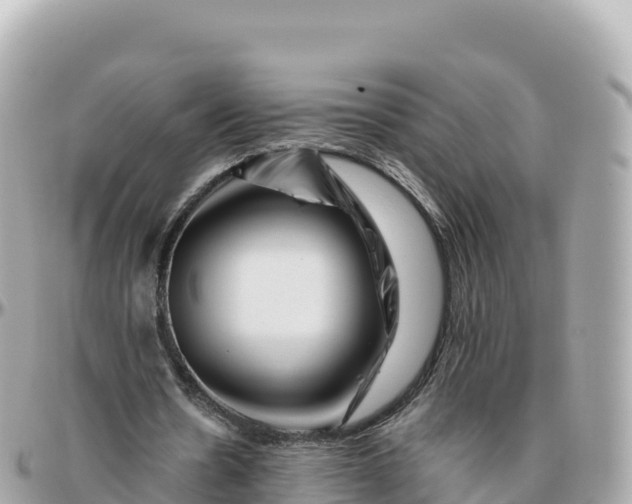 X0000095900530200801251226