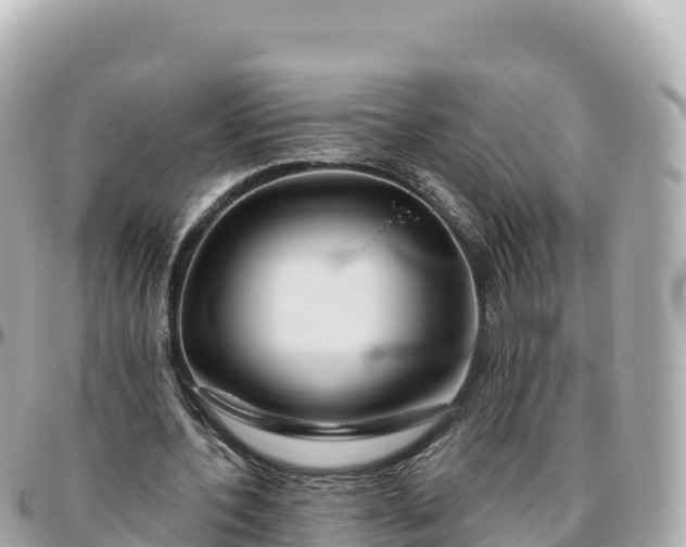 X0000095900532200801251226