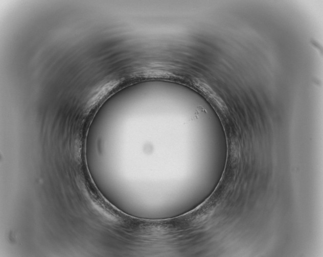 X0000095900533200801251226