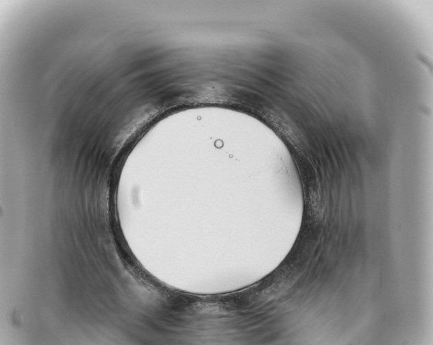 X0000095900534200801251226