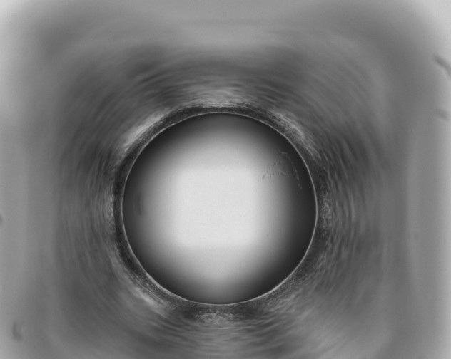 X0000095900535200801251226