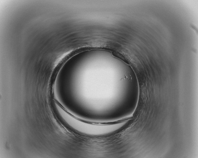 X0000095900536200801251226