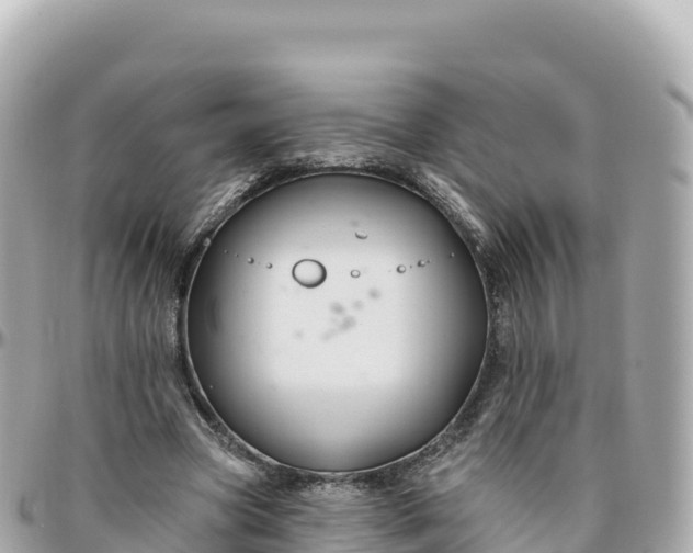 X0000095900537200801251226