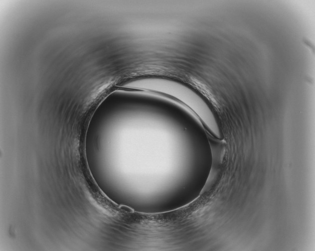 X0000095900538200801251226