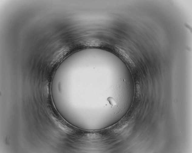 X0000095900541200801251226